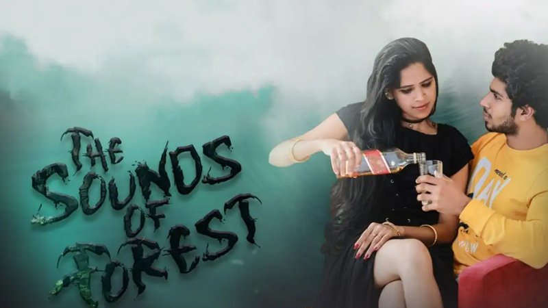 The Sound Of Forest